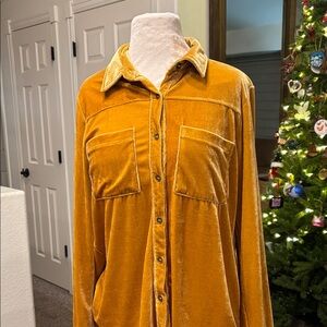 Umgee Velvet Shirt in Golden Yellow